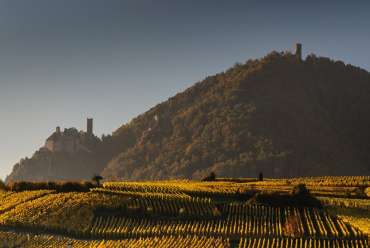Découvrir l’Alsace à pied - Quel itinéraire choisir